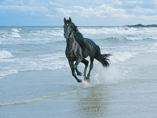 356806 (a): :1600x1200